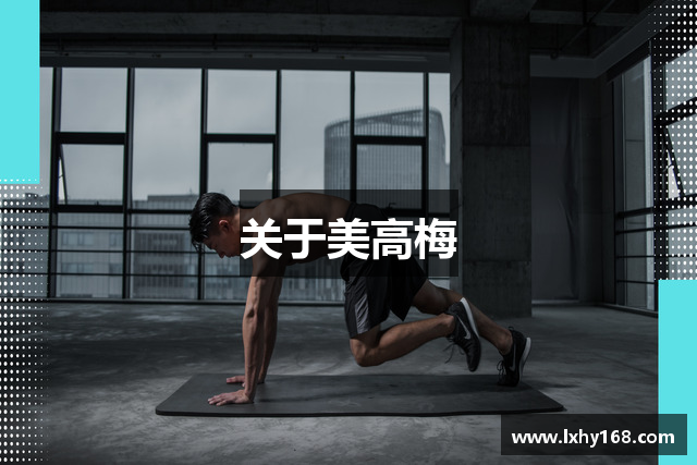 关于美高梅